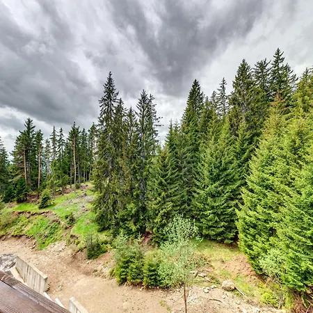 Forest Harmony 1bd With Balcony & Parking By Flat Manаger * Smolyan